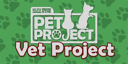 Vet Project: How to recognize signs of Kennel Cough