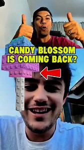 423K views · 10K reactions | Candy Blossom is coming Back?  #roblox #robloxgrowagarden #hayleykayla Jandel | Hayley & Kayla Llarena | Facebook
