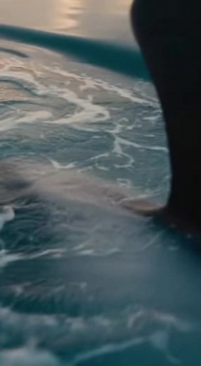 57K views · 1K reactions | The ocean was silent… until the beast beneath decided to rise ⚡ A split second that turned the whole sea into chaos — and left everyone frozen in fear. #fblifestyle #OrcaPower #NatureShock #RealOcean #ViralClip#OrcaPower #NatureShock #OceanVibes #SeaLegends #RealOcean #WildFootage #EpicWildlife #OceanSpirit #UntoldStories #NatureIsWild | Real Ocean Drama | Facebook