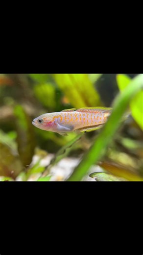 more amature photography. Can you tell I didn’t clean the glass 😅