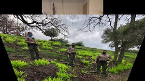 1K views · 65 reactions | In honor of National Women's History month, here are a few of the dedicated, compassionate and brave women (both sworn and civilian) the Marin County Sheriff's Office is proud to have as part of our family. | Marin County Sheriff's Office | Facebook