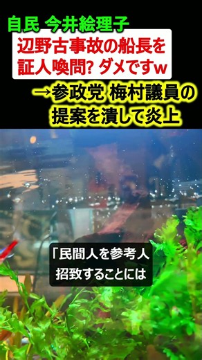自民 今井絵理子「辺野古事故の船長を証人喚問? ダメw」→梅村議員の提案を却下して炎上
