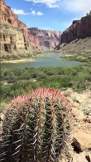 Views From Deep Inside the Grand Canyon