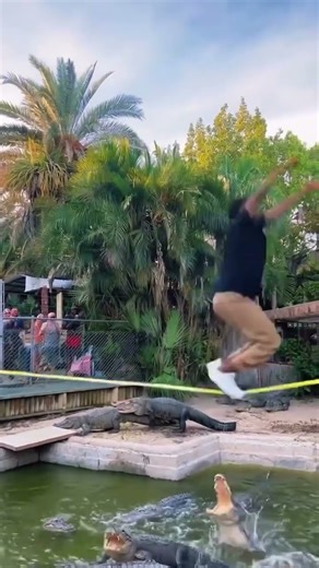 Bro Got Mad Skills 🐊 Dancing Reptile Shocks Everyone! #dance #reptile #funny #shorts #viral #foryou