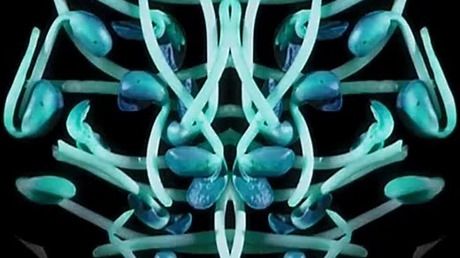 Baby Einstein - Baby Mozart - Music Festival in Slow Voice (FIXED)