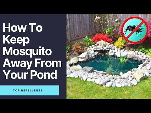 How To Keep Mosquitoes Away From Your Pond (100% Working Methods) - Top Repellents