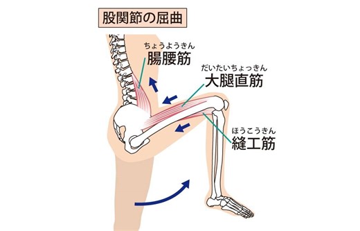 長時間座った後の、〈脚の付け根〉のつまり感を解消！代謝もアップする仰向けパタパタエクサ | ヨガジャーナルオンライン