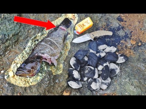 Catch and cook on the rocks! Why I cut the tail of my fish