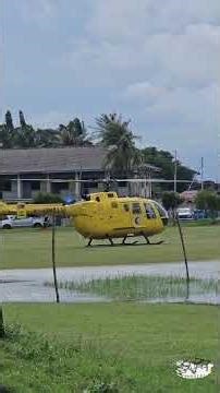 random scene 114 | a rare experience for my kids