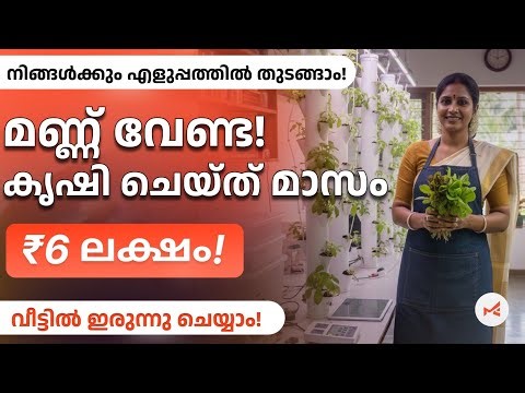 Aeroponics കൃഷി എങ്ങനെ ചെയ്യാം | Aeroponics Farming Business