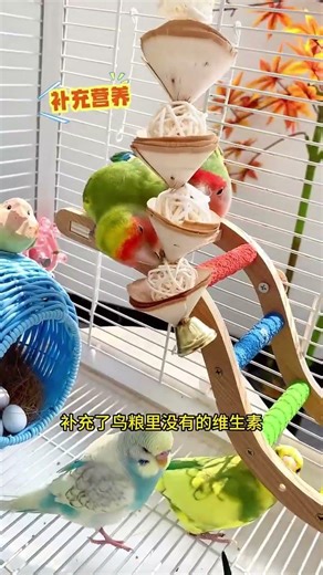 🐦🦜The Colorful World of ParrotsParrots: Nature’s Trees: Parrot AdventuresThe Intelligent 🦜🐦