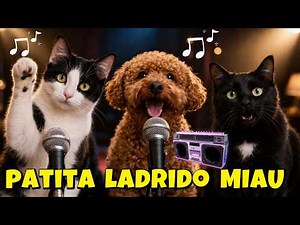 🎤 CANCIÓN PATITA LADRIDO Y MIAU de MIS GATITOS MIAU MIAU Luna y Estrella