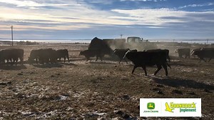 Bale Processors Part 3: In today's video you can see what it's like working with the bales on these bale processors. | Gooseneck Implement | Facebook