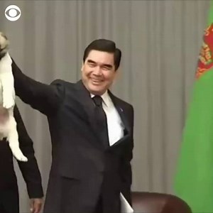 27K views · 138 reactions | Self-proclaimed dog lover Russian President Vladimir Putin was presented with a fluffy puppy for his 65th birthday. #kwch12 | KWCH 12 News | Facebook