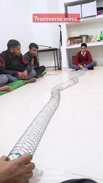 Transverse wave demonstration #explore #experiment #sciencewallah #physics #scienceexperiment
