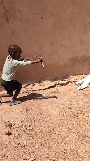 Exploring the Innovative World of AI and Robots