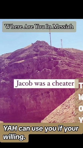 Where ever you are in your walk, Yah can use you if your willing.#twoy #thewayofYah #youraVessel #mustardseedfaith #faithmovemountains #faithpleasesYah #trustAndbelieveYah