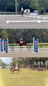 We’ve had some very special horses. Horses that have made us believe and do things that seems totally impossible. I’m sure we’ll have more. Right now we have a very cool little guy for sale. It’s Samaroo! He’s the best and we love him. Maybe he could be the horse that makes you suspend your disbelief. #teamredbud #suspendyourdisbelief #forsale #samaroo | Redbud Farm Equestrian