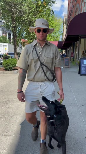 15K views · 467 reactions | How to get your dog trained in any environment! AND I’m coming to Australia in November!!  Click this link for tickets and more information! https://tomdavis.eventsmart.com/event-category/australia/ | Tom Davis Dog Training | Facebook