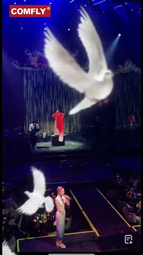 Chinese Fireworks: A Symphony of Dance and Light！