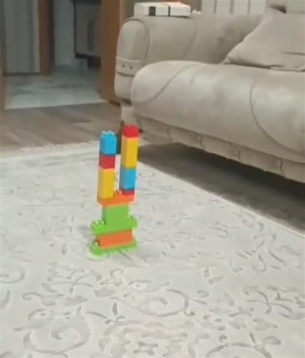 angry birds real life #meme #shitpost #angrybirds #youtubeshorts #shorts