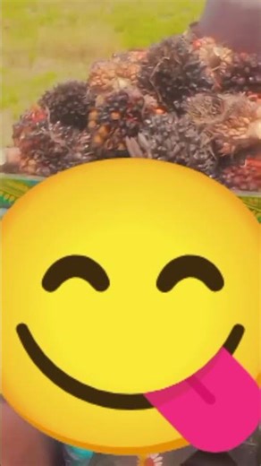 notification ringtone download snl musical games