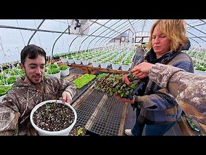 Very Exciting NEW Arrival!