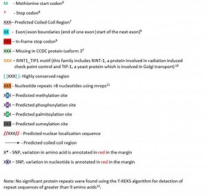 Coiled Coil Domain Containing 142 - Alchetron, the free social encyclopedia