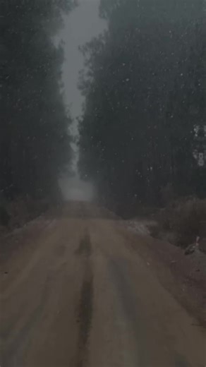 tiffanypaige2024 (@tiffanypaige2024)’s videos with Snow Wind Sound (Looped, No Fade) - Loopable Radiance