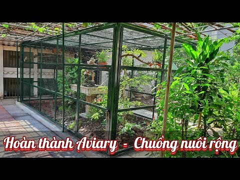 Hoàn thành chuồng nuôi Chim Cảnh tự nhiên - Thiết kế Aviary rộng nuôi nhiều loại chim sinh sản