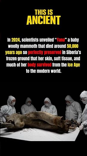 50,000-Year-Old Baby Mammoth Emerges From Ice