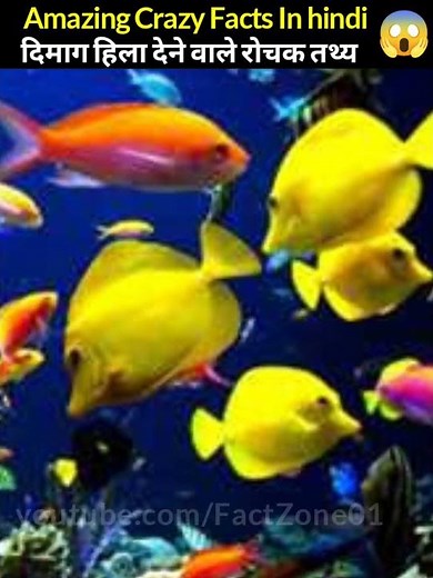 दिमाग हिला देने वाले रोचक तथ्य 🤬 जो आपके होश उडा़ देंगे 😱 Crazy Facts In hindi #shortsvideo