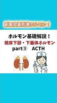 副腎皮質刺激ホルモンを解説！/頻出解説！/視床下部・下垂体ホルモンpart③/#第115回看護師国家試験 #看護師国家試験対策 #看護学生 #看護師国家試験対策