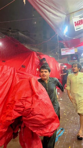 Funny Video Compilation