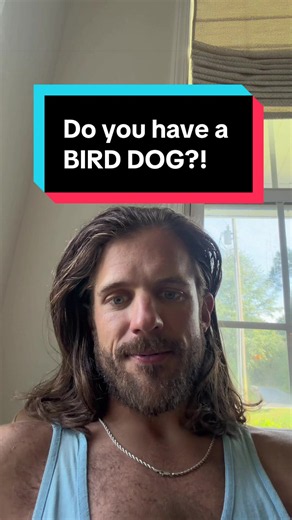 Bird Dog Club Spots Open — Join a Bird Dog Community