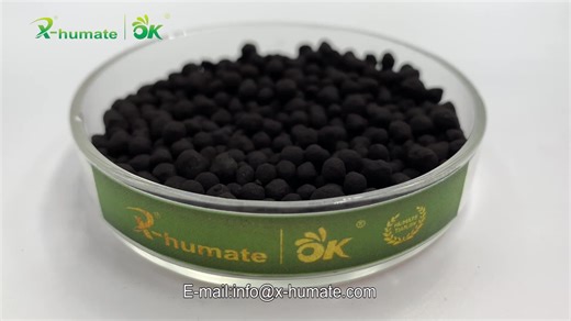 X-humate Organic Fertilizer Granule Good Price Soil Conditioner Improving Soil Quality 100 % Water Soluble