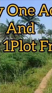 Affordable Farmland For Cash Crops & Livestock | Ogun State