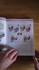 4.9K views | As artists, we don't need complicated medical text. We need visual anatomy references to understand better how to create it. Our book provides just that! | Anatomy For Sculptors | Facebook