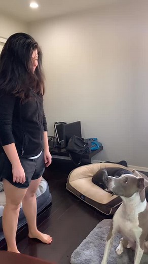 Phyllis Davis (@phyllisdavis850)’s videos with Patatak - Dan B.