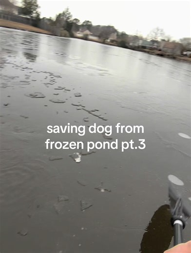 Rescuing a Dog from a Frozen Pond - Part 3