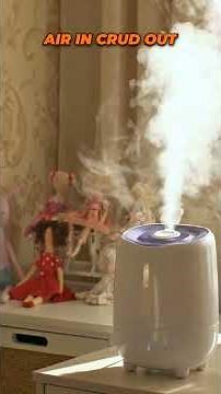 What Actually Cleans Your Home Air #airpurifier #cleaning