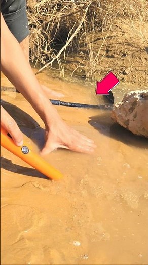 Using pinpointer gold detector found silver plate. #pinpointermetaldetecor #shortsfeed #treasurehunt