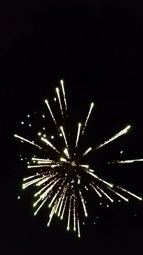 Wolf Pack High Performance Canister Shell