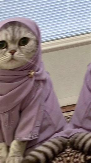 love Saar😭🧘🏼‍♀️💕 funny short video clip