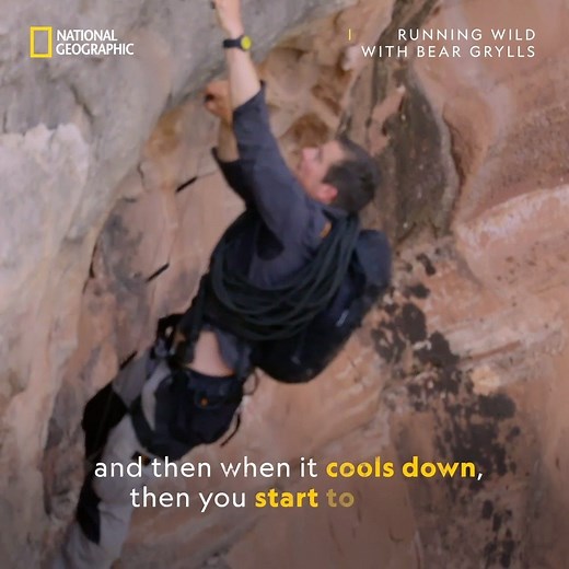 1.7K views · 29 reactions | It's hard to have fun in the desert sun. ☀️ Here are Bear Grylls top tips for surviving in the desert. See how Bear Grylls helps Dave Bautista survive the Arizona sun tonight at 7pm on Running Wild with Bear Grylls | National Geographic UK | Facebook