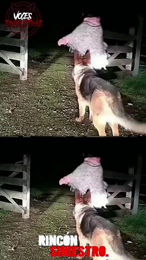 Skinwalkers and Ghost Stories in the Appalachian Mountains