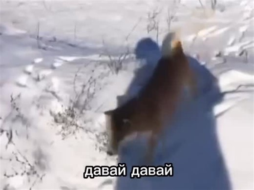 Jan on Instagram: "#like #meme #mem"