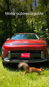 Cuidar el planeta empieza en cada camino. Marca la diferencia con la Kona híbrida. Encuentra un aliado ecoamigable cotizando el tuyo aquí ➡️ https://bit.ly/3lGwBcg #HyundaiParaTi | Hyundai Honduras