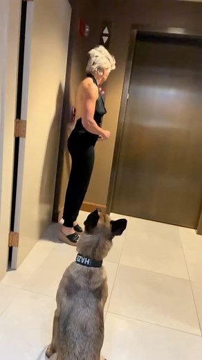 3.2K views · 249 reactions | Hazel was beginning to form a bad habit so I jumped on it pretty quick. | Code Red Lifestyle | Facebook