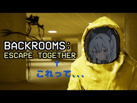 【BACKROOMS:ESCAPE TOGETHER/バックルーム:エスケープ トゥギャザー】つづき・・・【#のんのゲーム部屋】